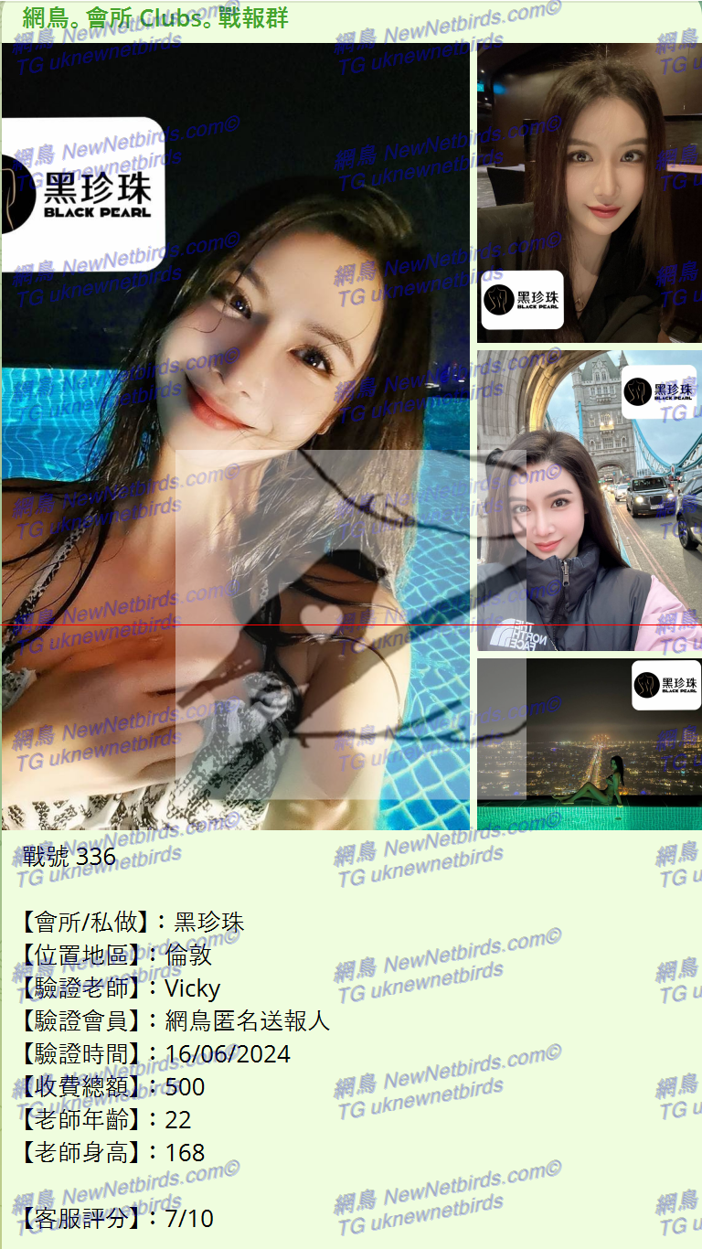 戰號 336 1.png